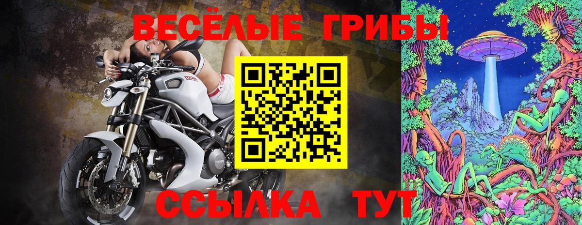 Галлюциногенные грибы GOLDEN TEACHER Дивногорск
